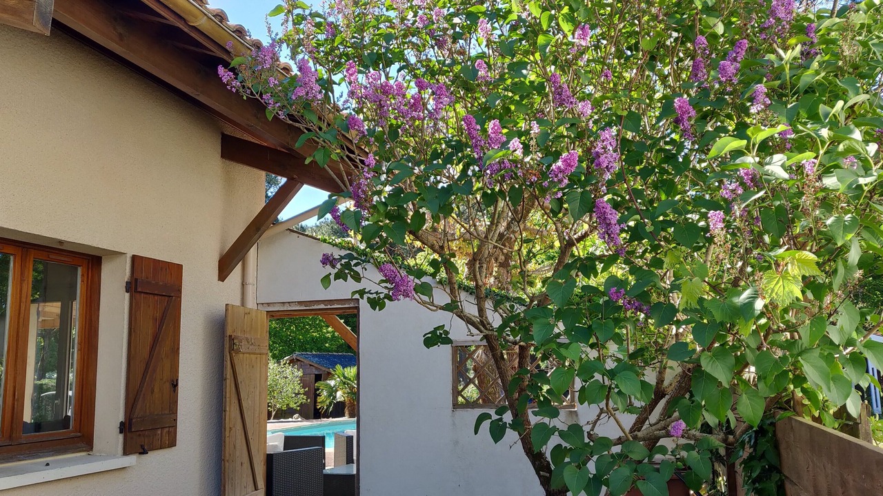 Photo of Outdoor in La Teste-de-Buch