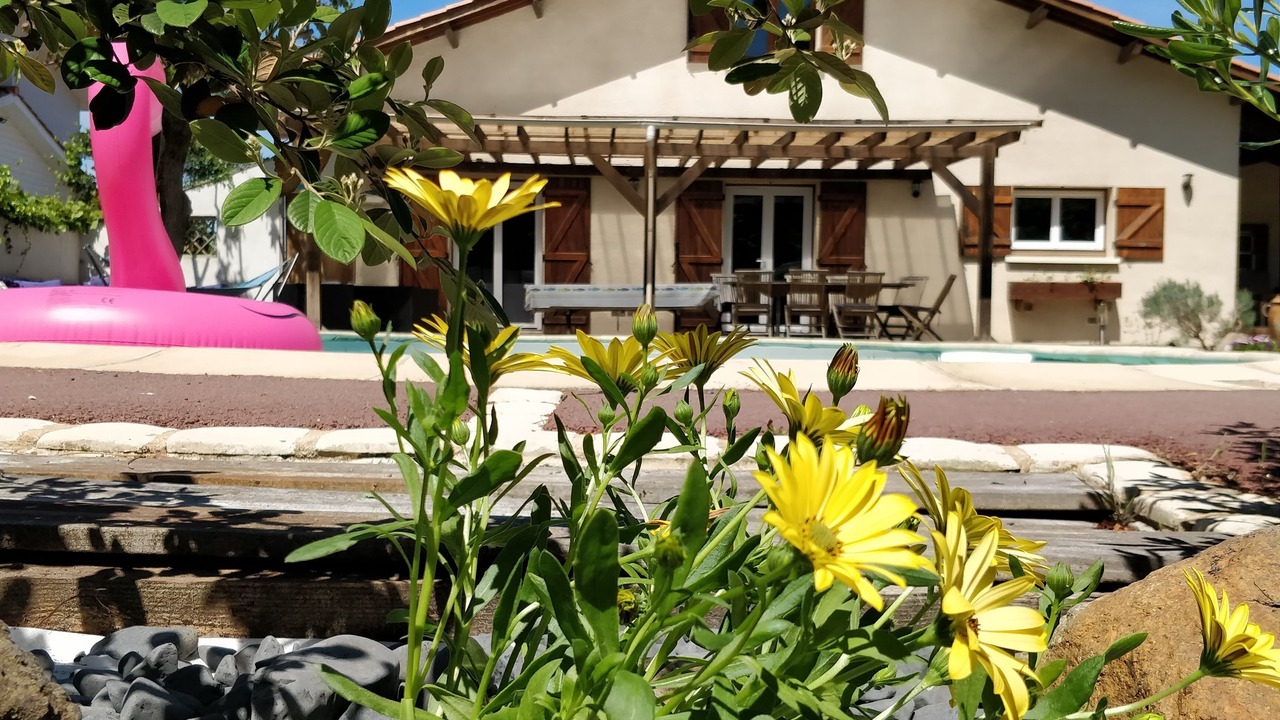Photo of Outdoor in La Teste-de-Buch