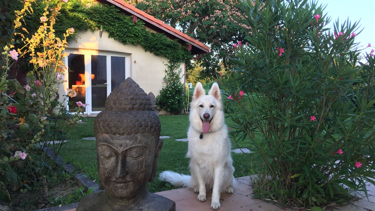 Photo of Outdoor in Cagnotte