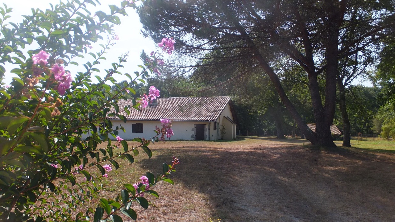 Photo of Outdoor in Villandraut