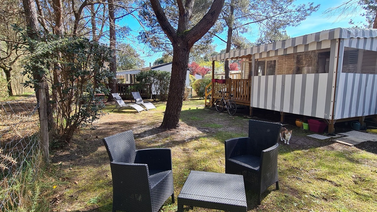 Photo of Outdoor in Saint-Julien-en-Born