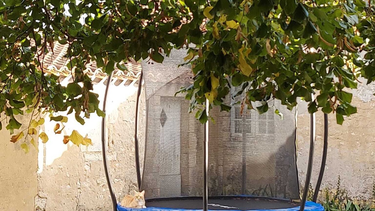 Photo of Outdoor in La Remigeasse