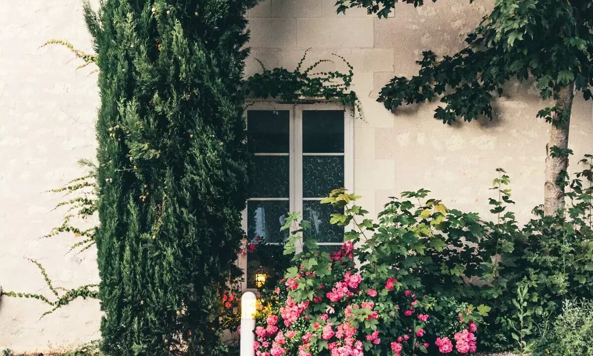 Photo of Outdoor in La Roche-Posay