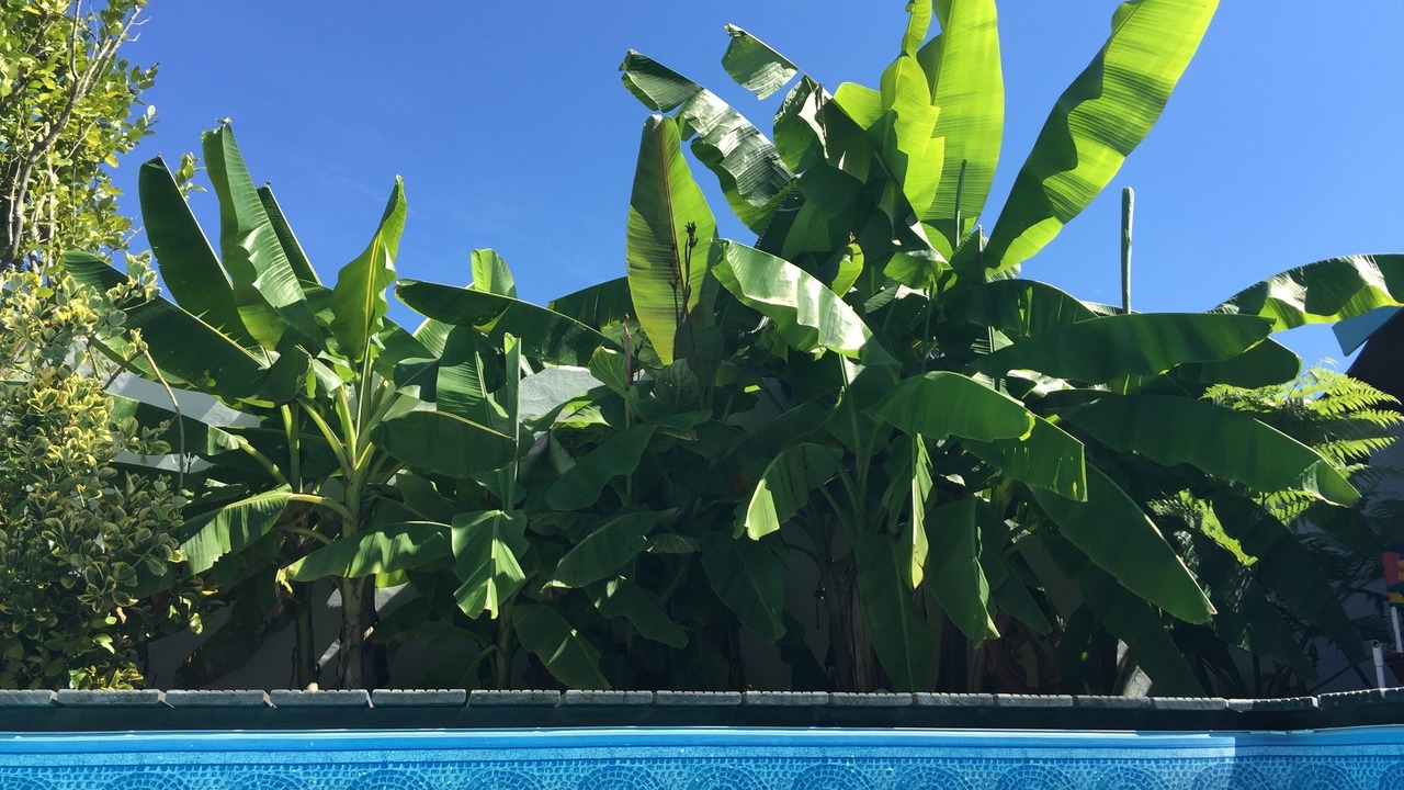Photo of Outdoor in Anglet