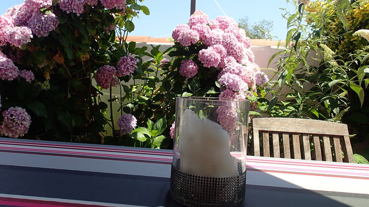 Photo of Outdoor in Anglet