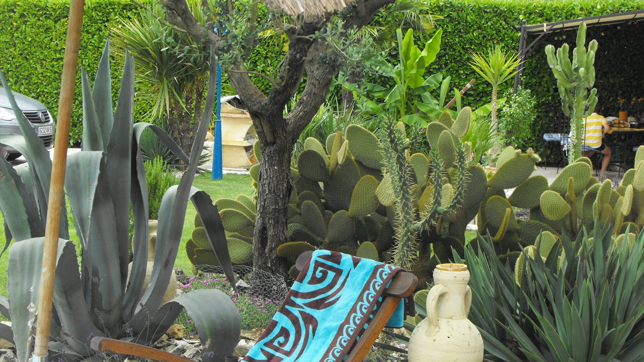 Photo of Outdoor in Fontenille