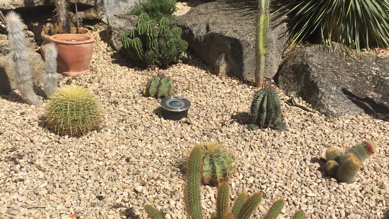 Photo of Outdoor in Fontenille