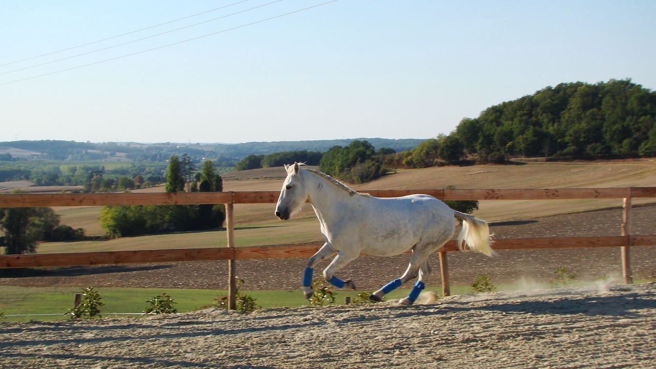 Photo of Others in Brugnac