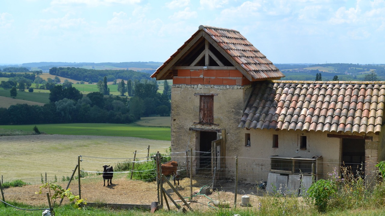 Photo of Outdoor in Brugnac