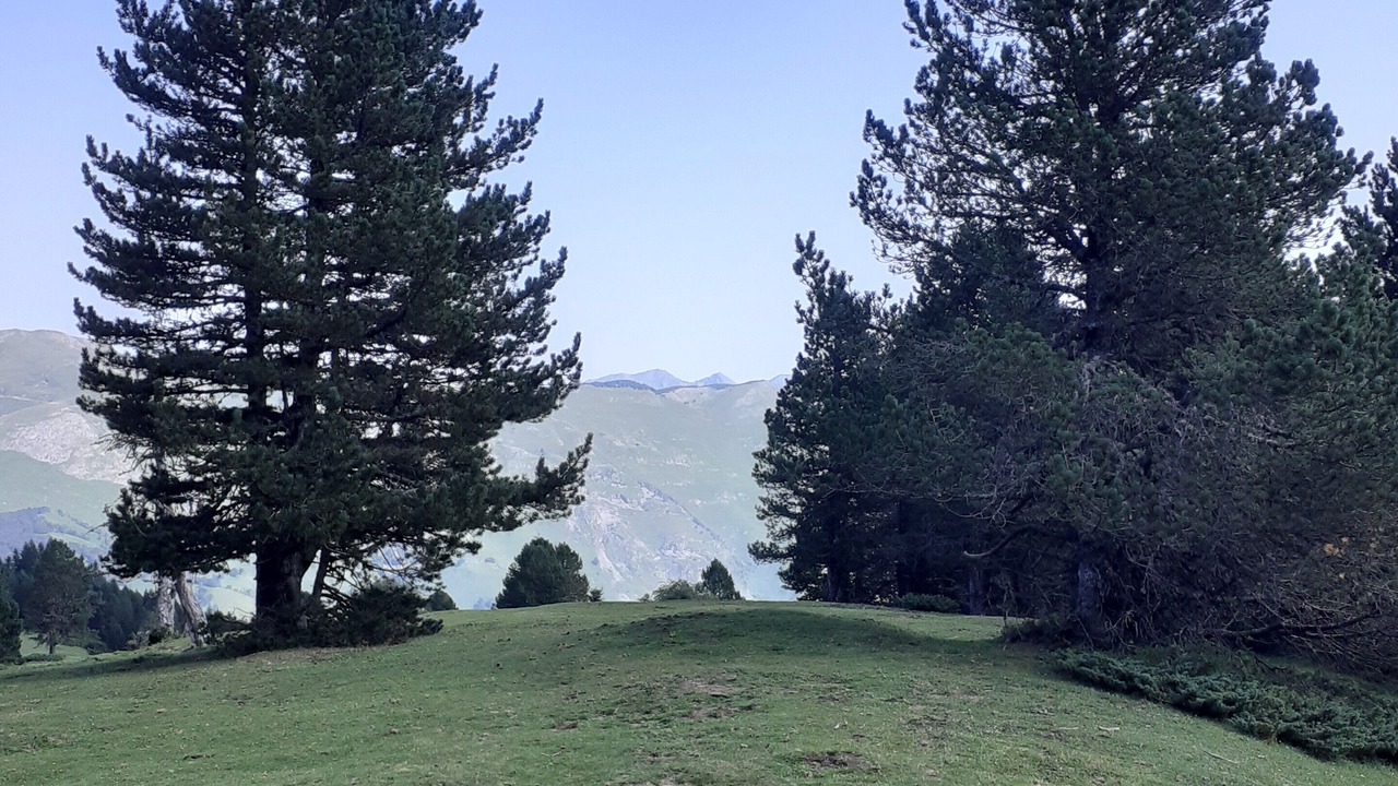 Photo of Others in Osse-en-Aspe