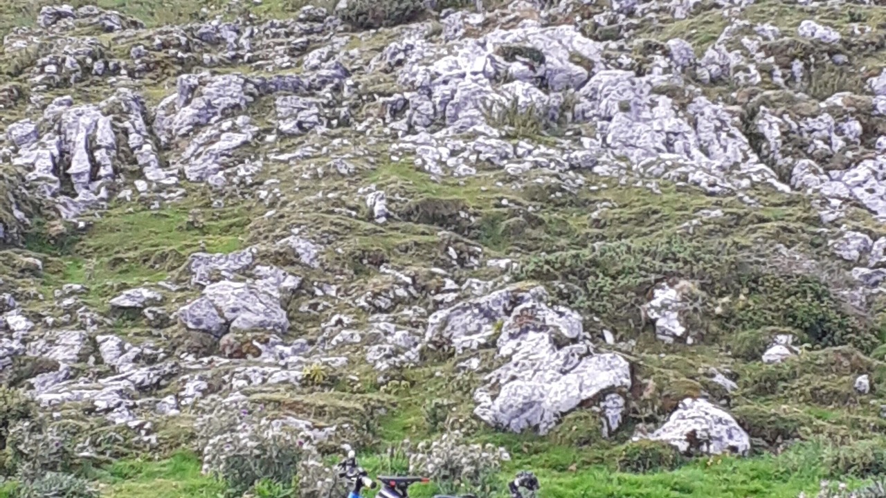Photo of Others in Osse-en-Aspe