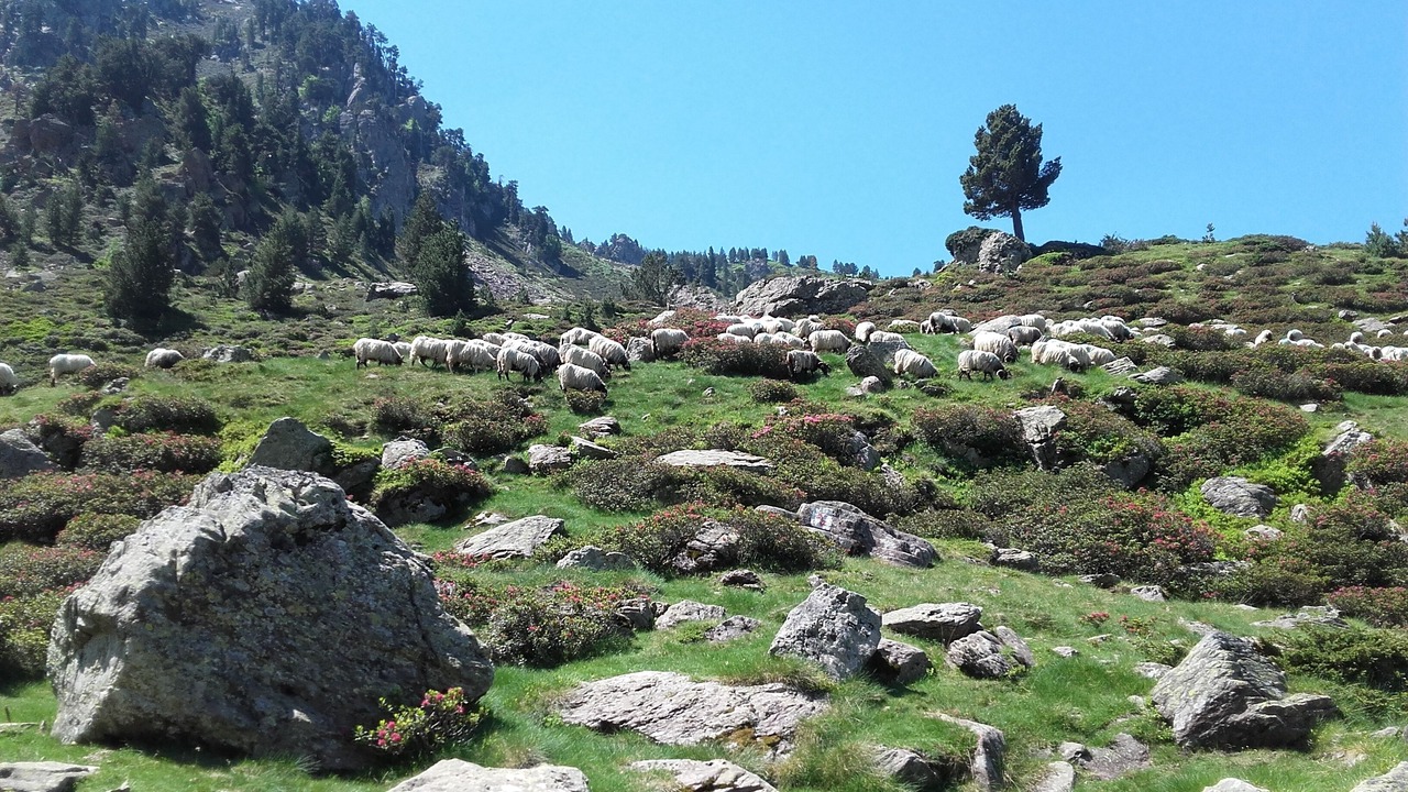 Photo of Outdoor in Osse-en-Aspe