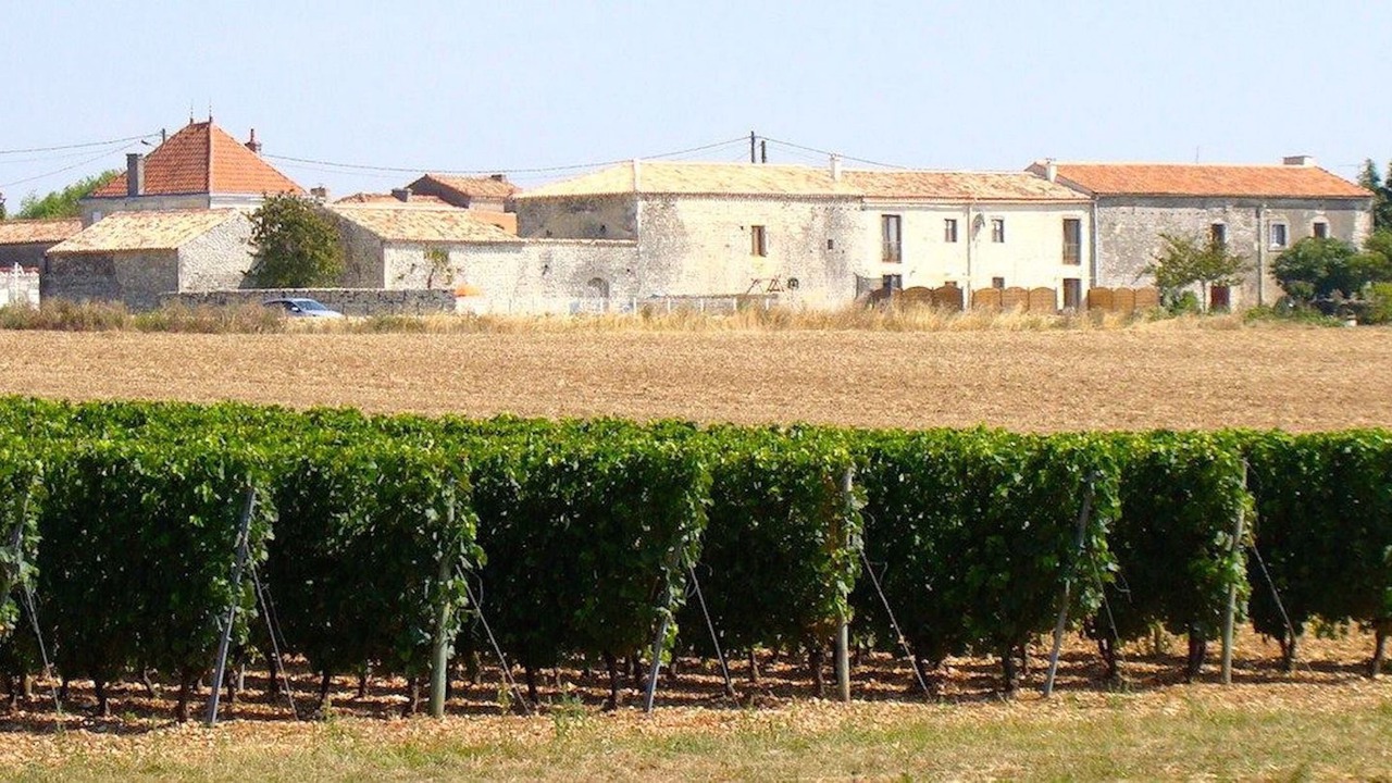 Photo of Outdoor in Echallat