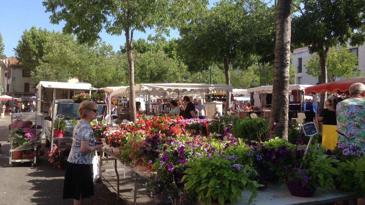 Photo of Others in La Garde