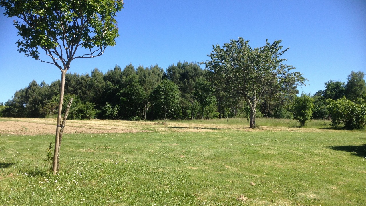 Photo of Others in Saint-Vincent-de-Connezac