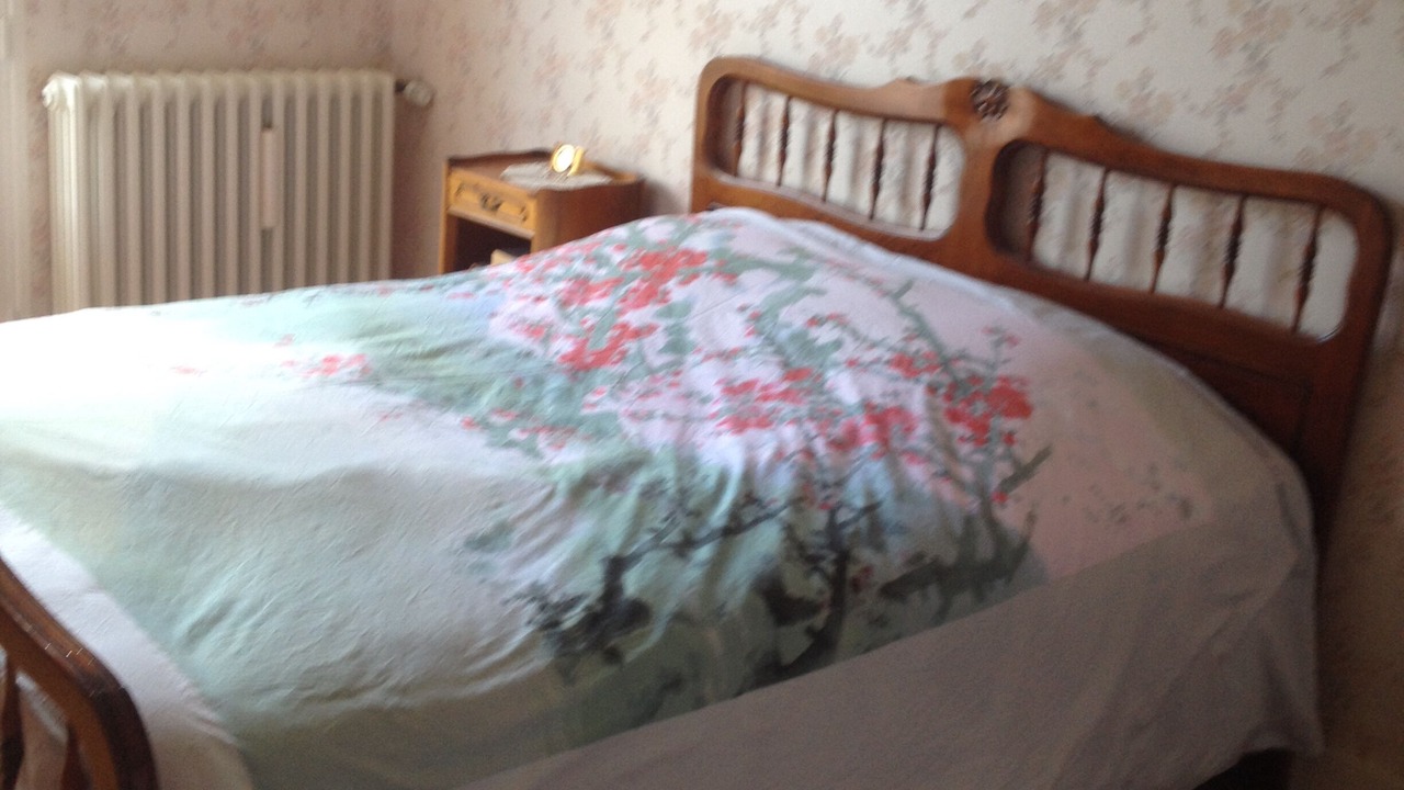 Photo of Bedroom in Saint-Vincent-de-Connezac