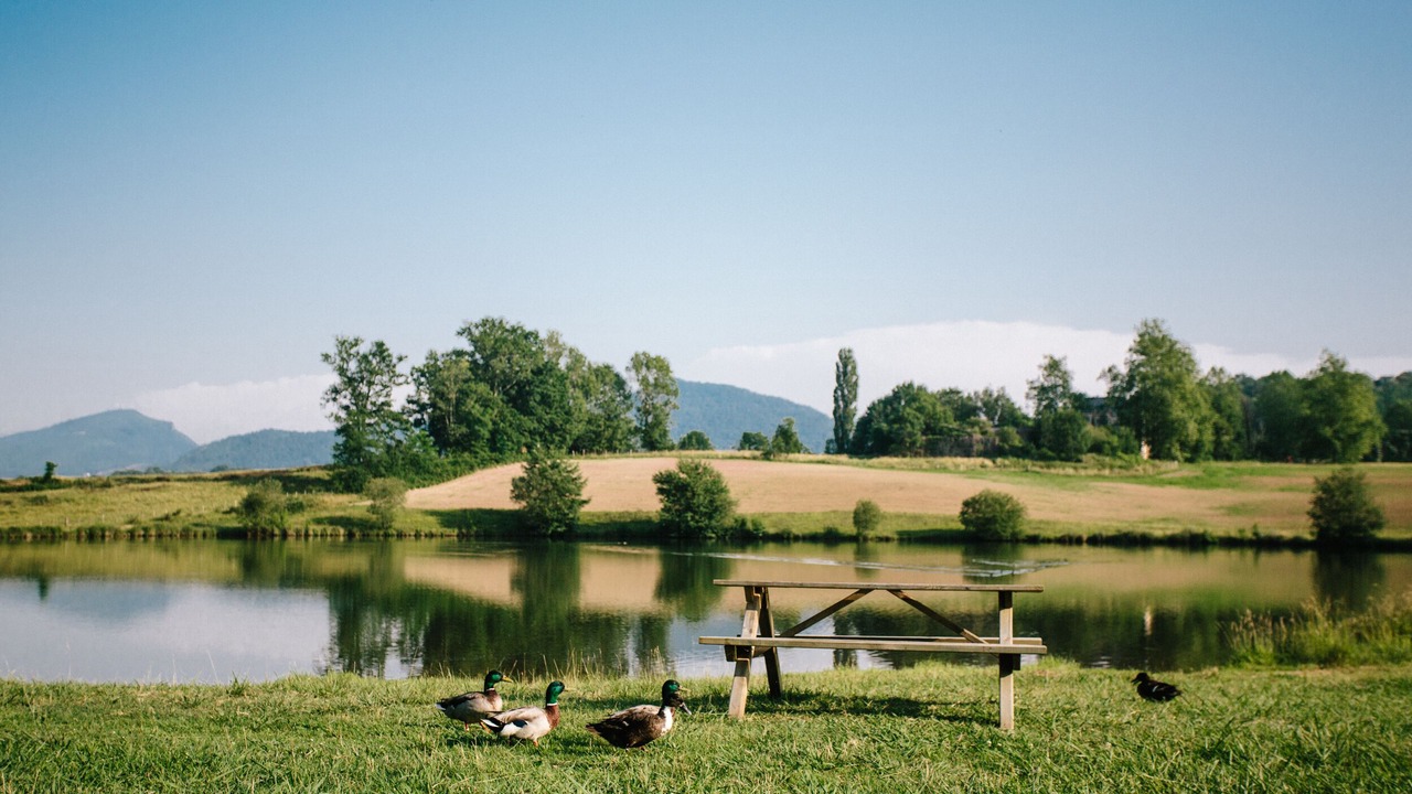 Photo of Outdoor in Saint-Jean-le-Vieux