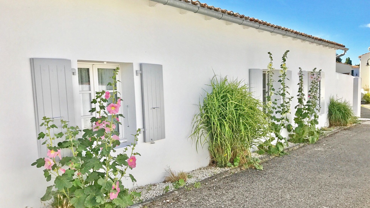 Photo of Outdoor in La Flotte
