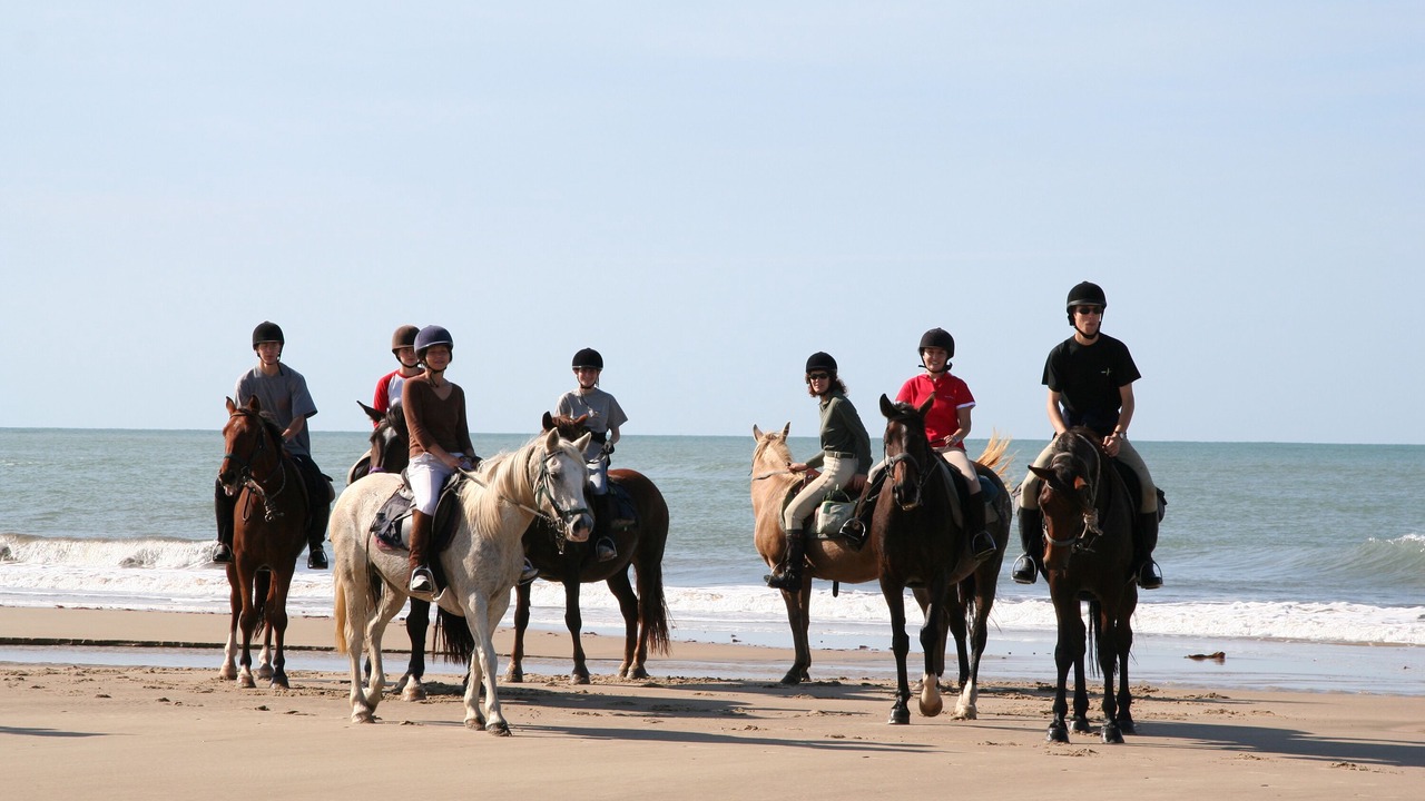 Photo of Others in Soulac-sur-Mer