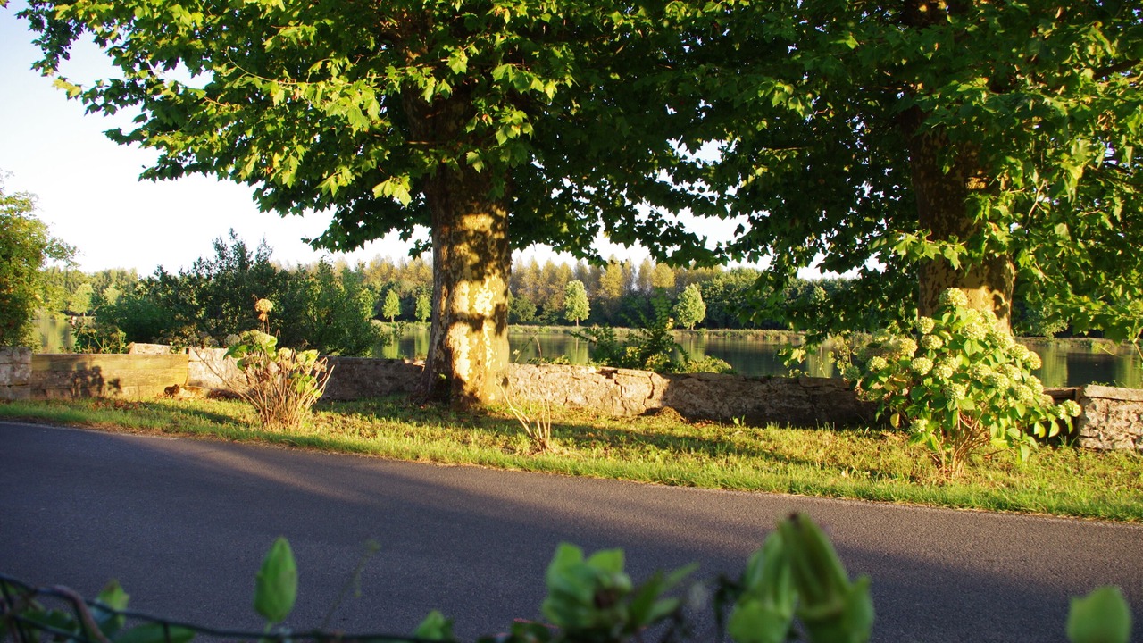 Photo of Outdoor in Saint-Martin-de-Seignanx