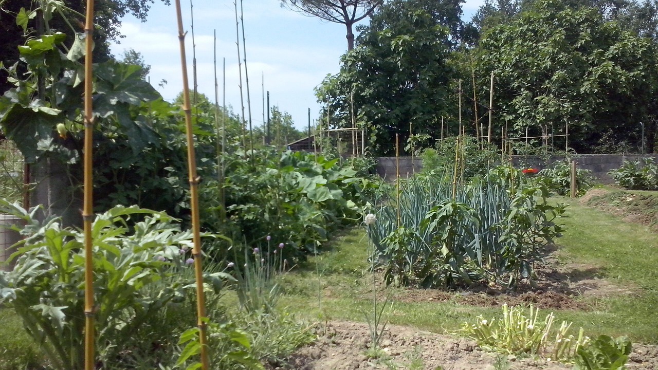 Photo of Outdoor in Saint-Martin-de-Seignanx