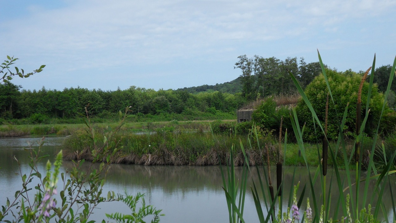 Photo of Others in Saint-Martin-de-Seignanx