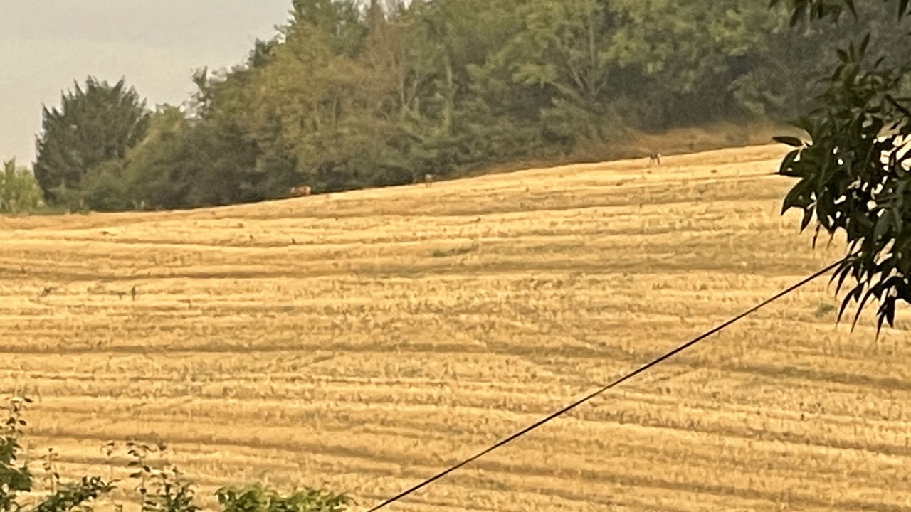 Photo of Outdoor in Tonneins