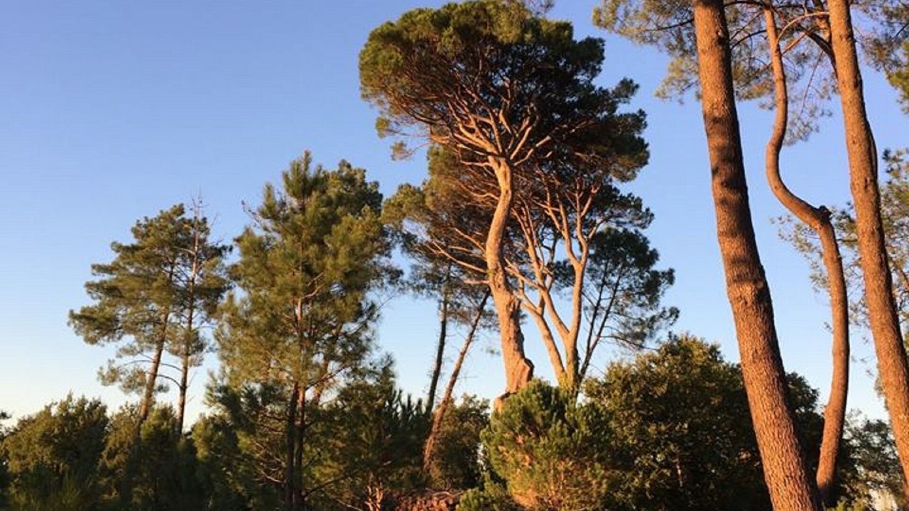 Photo of Outdoor in Arengosse