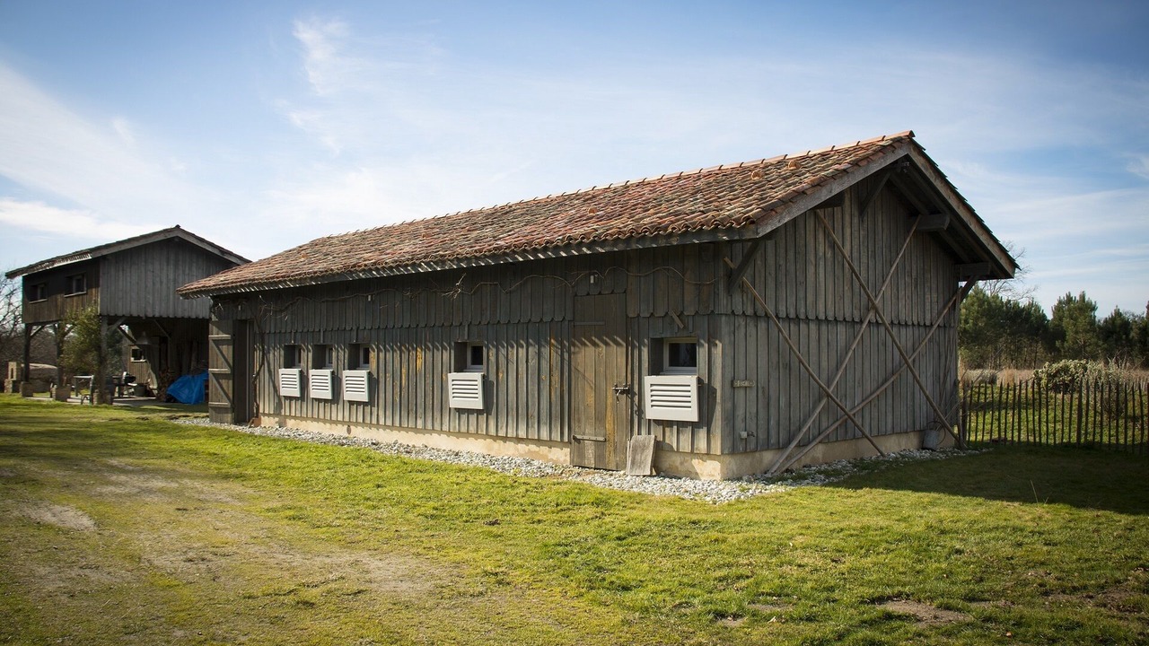 Photo of Outdoor in Arengosse