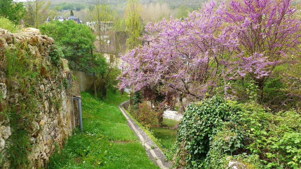 Photo of Outdoor in Bergerac