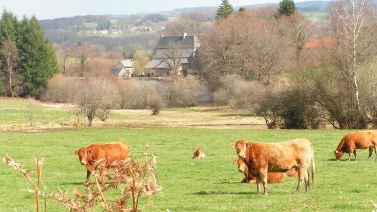 Photo of Outdoor in Saint-Yrieix-la-Montagne