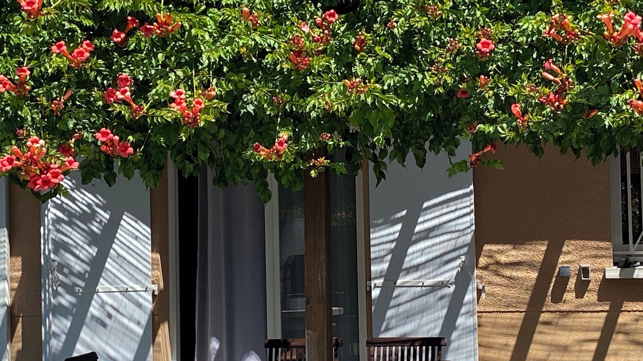 Photo of Outdoor in Hourtin