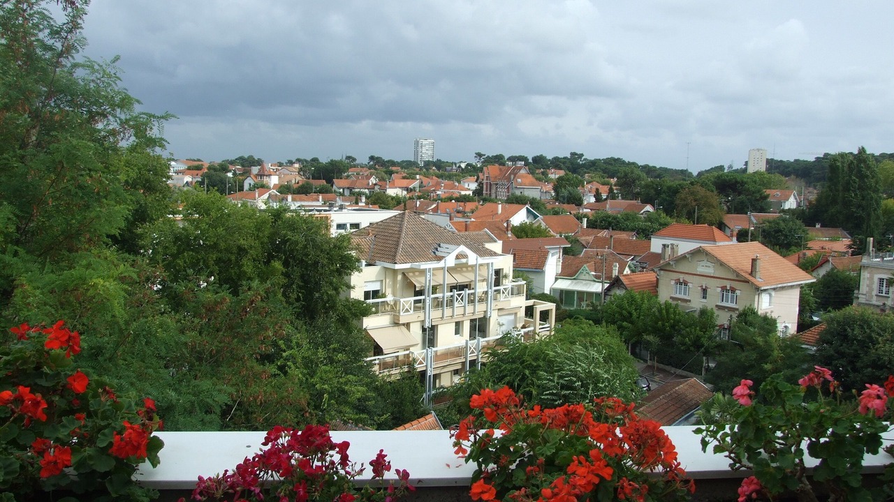 Photo of Others in Arcachon