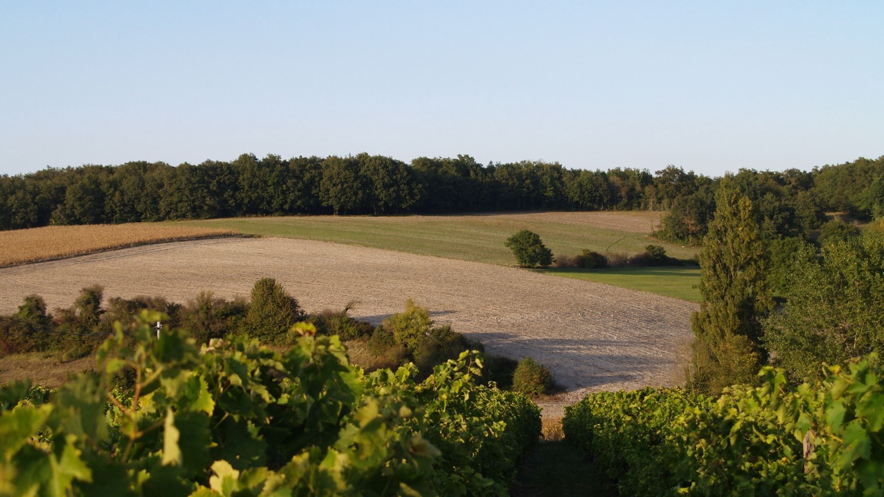 Photo of Others in Pereuil