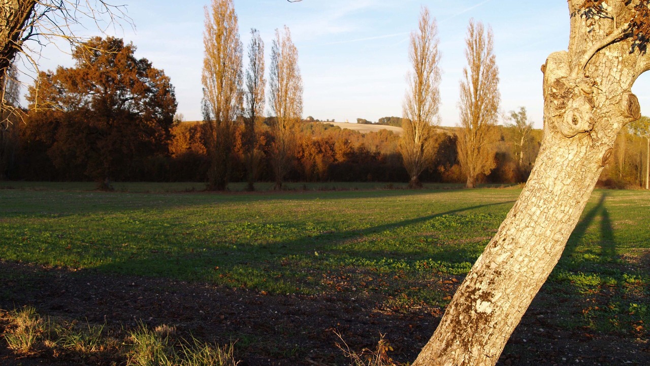Photo of Others in Pereuil