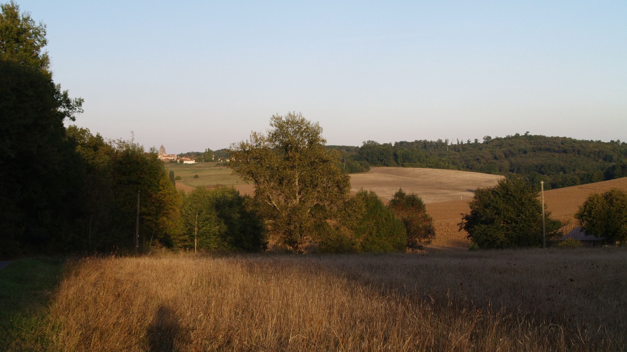 Photo of Others in Pereuil