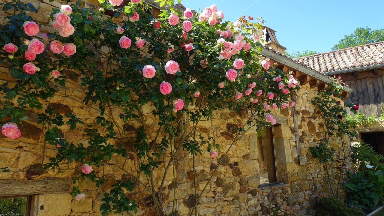 Photo of Outdoor in Saint-Pompont
