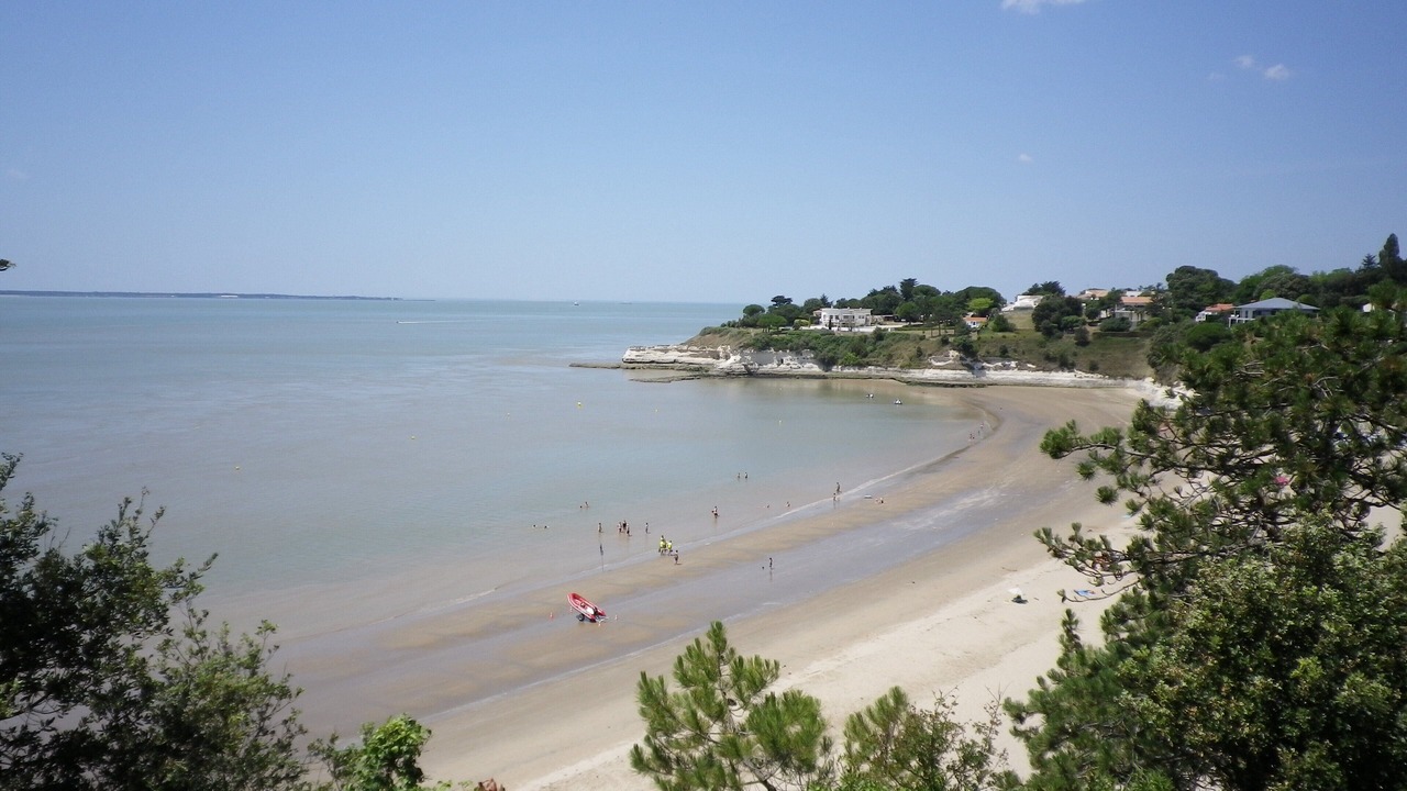 Photo of Others in Meschers-sur-Gironde