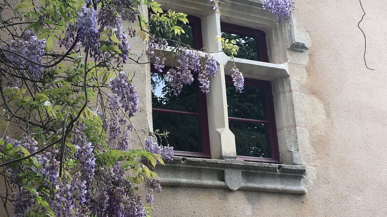 Photo of Outdoor in Saint-Loup-Lamaire