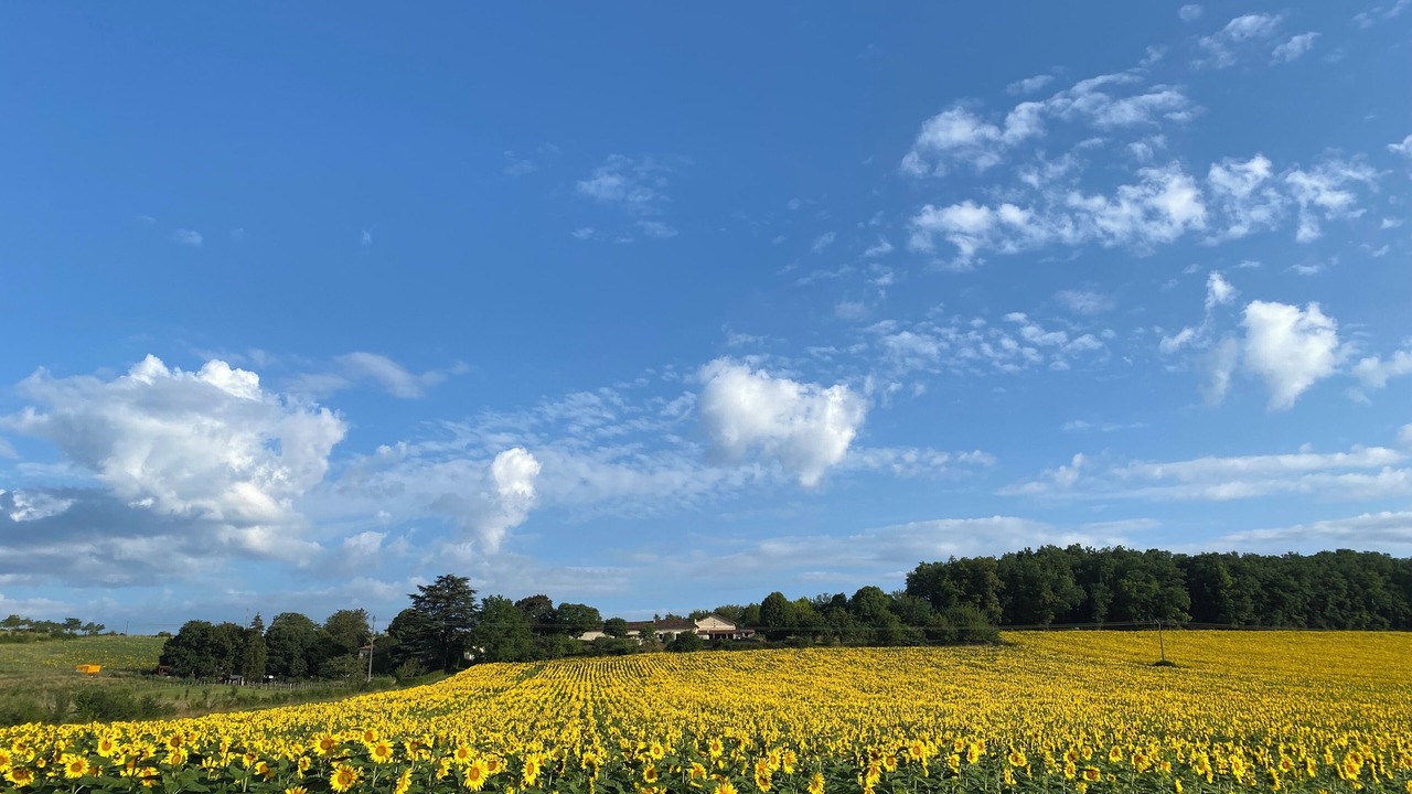 Photo of Others in Montboyer