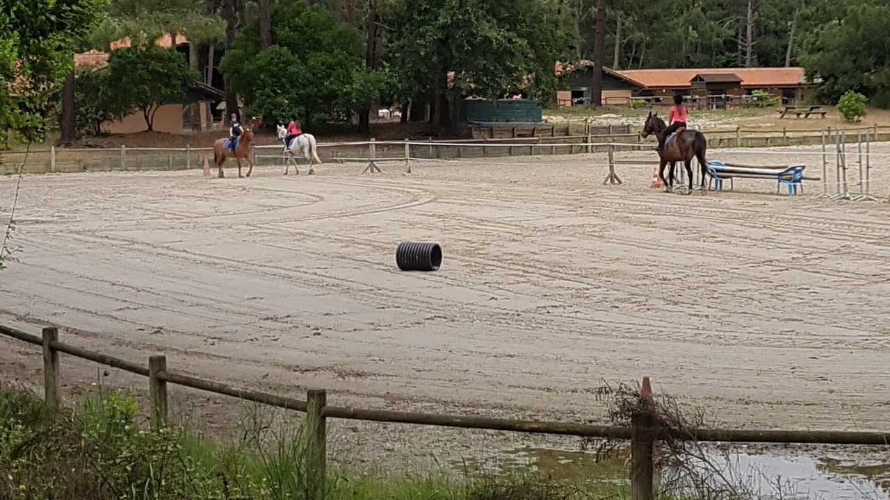 Photo of Others in Lacanau-Ocean