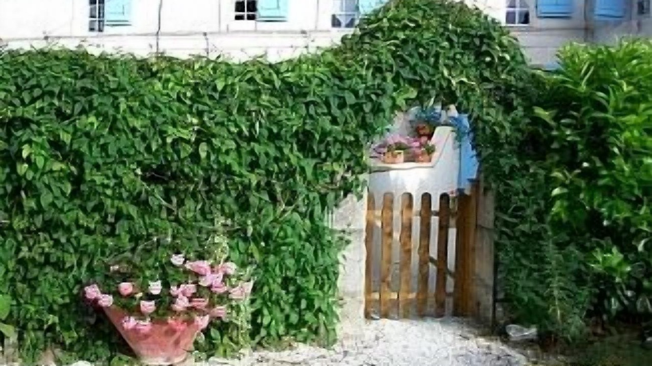 Photo of Outdoor in Avy