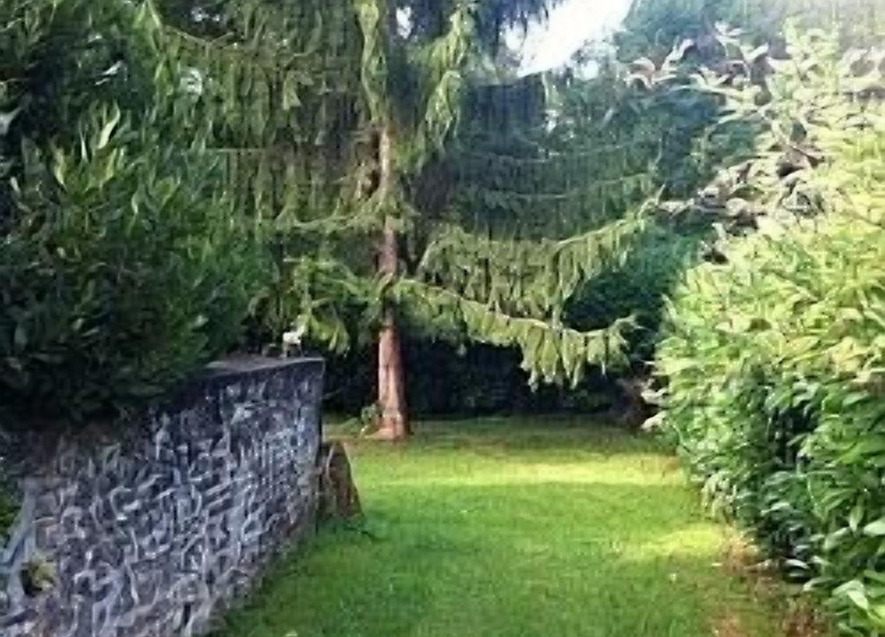 Photo of Outdoor in Avy