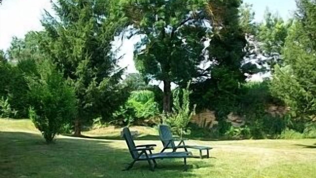 Photo of Outdoor in Avy