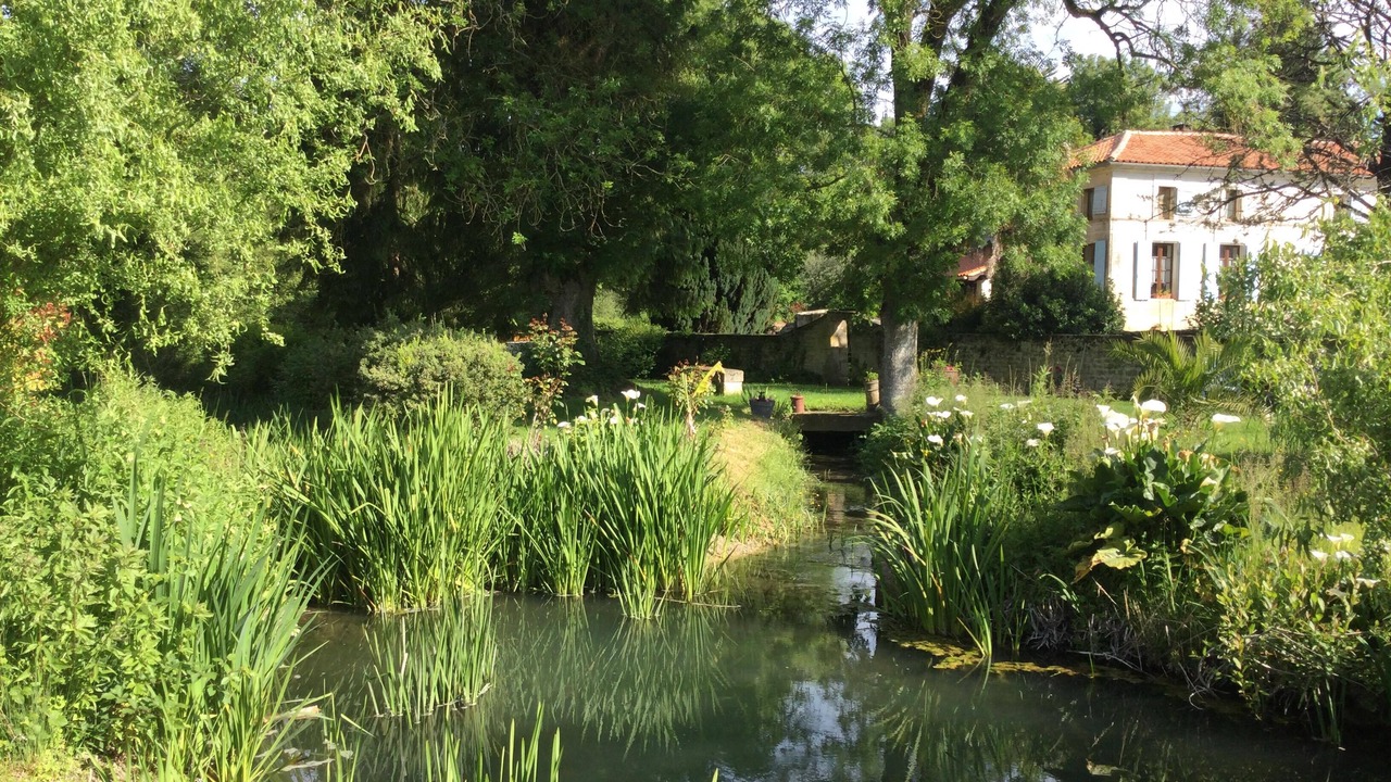 Photo of Outdoor in Avy