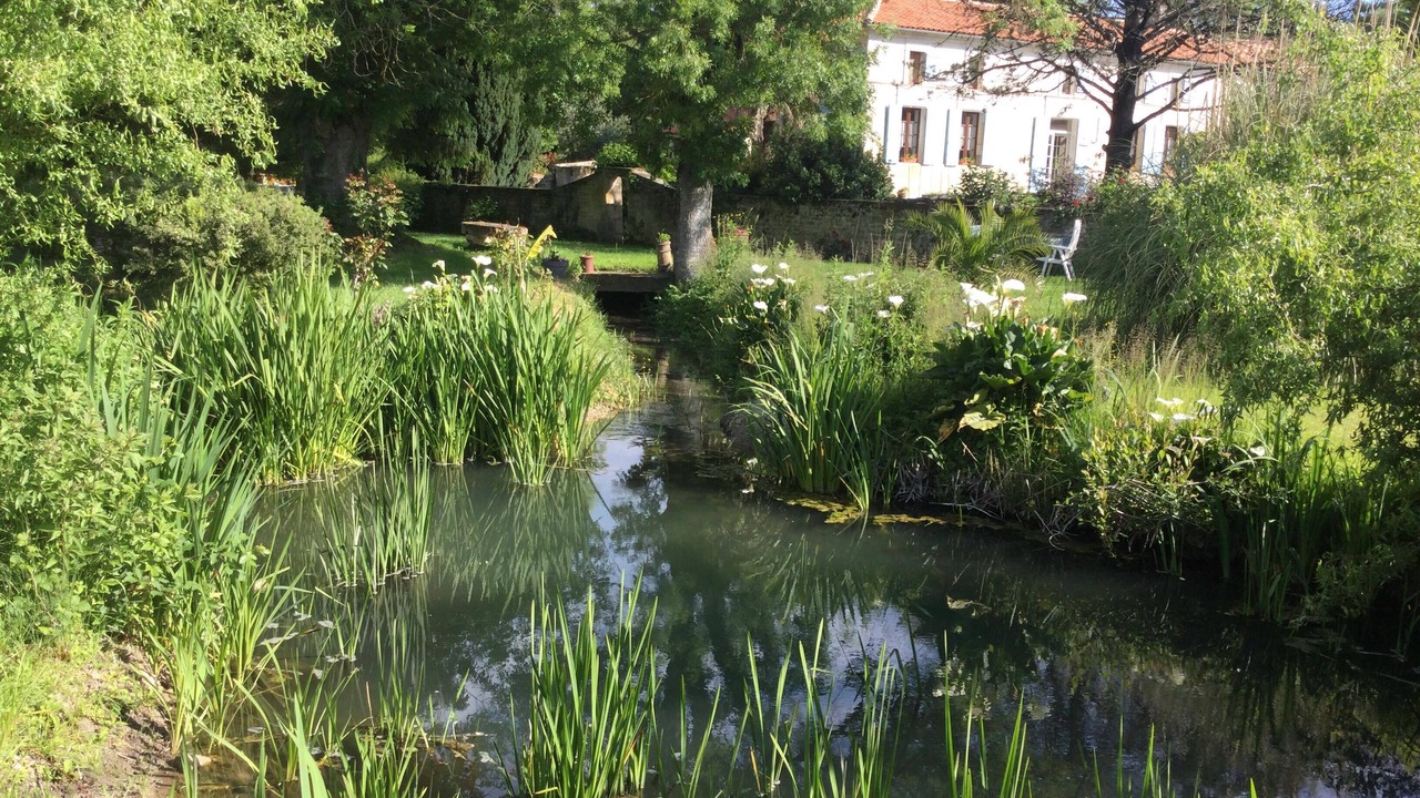 Photo of Outdoor in Avy