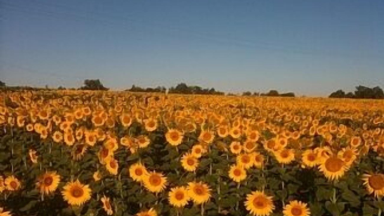 Photo of Outdoor in Avy