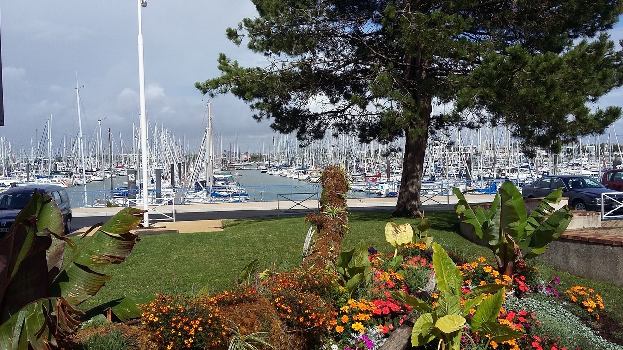 Photo of Outdoor in La Rochelle City Centre