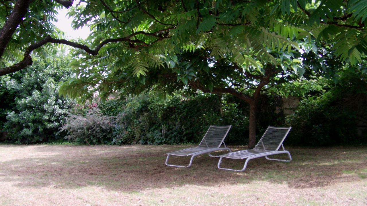 Photo of Outdoor in Dompierre-sur-Mer