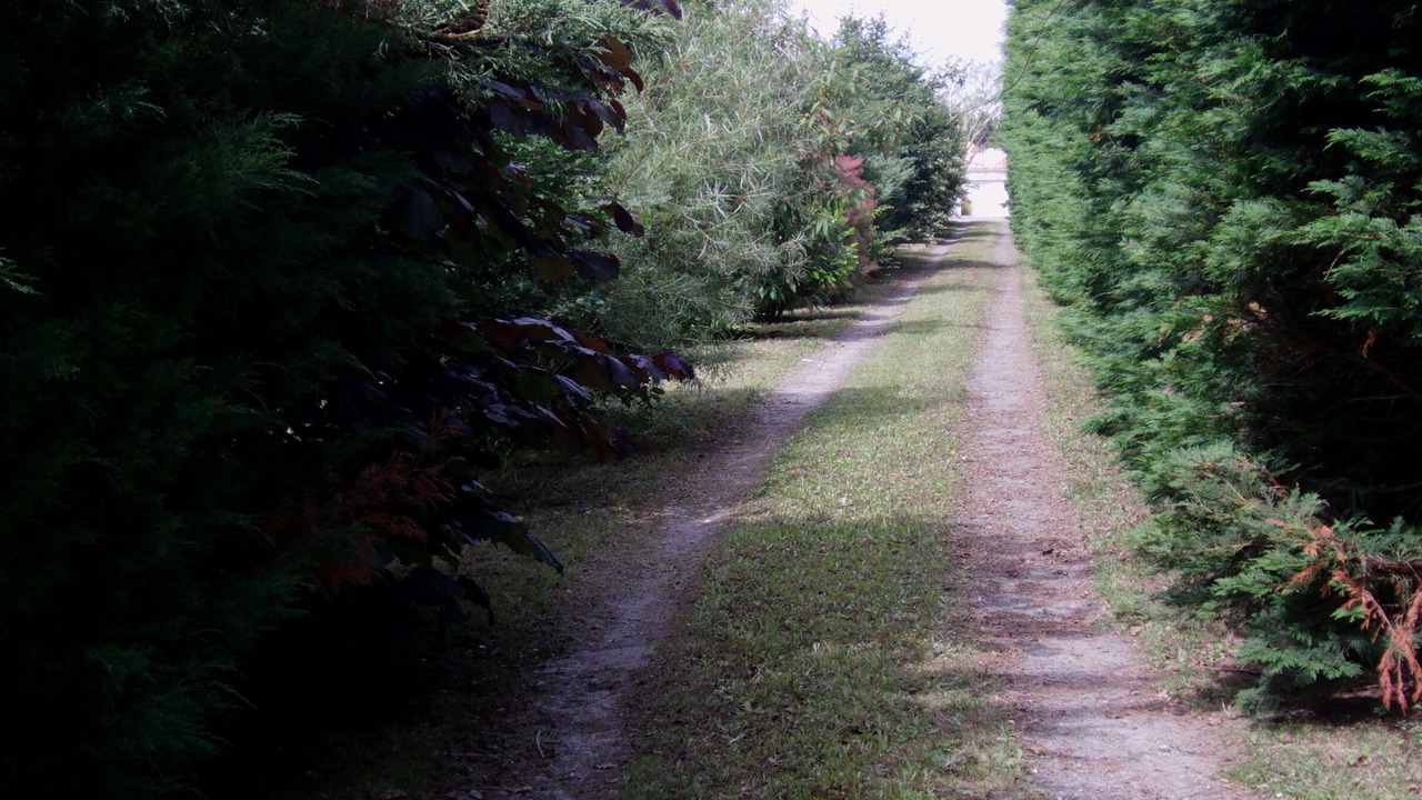 Photo of Outdoor in Dompierre-sur-Mer
